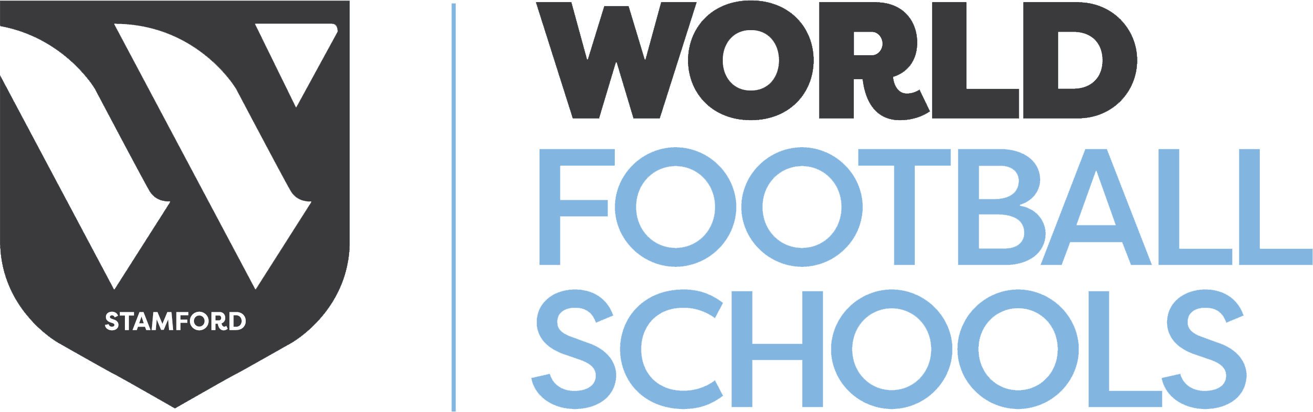 World Football School